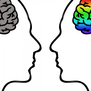 Los dos cerebros de diferentes sexos.